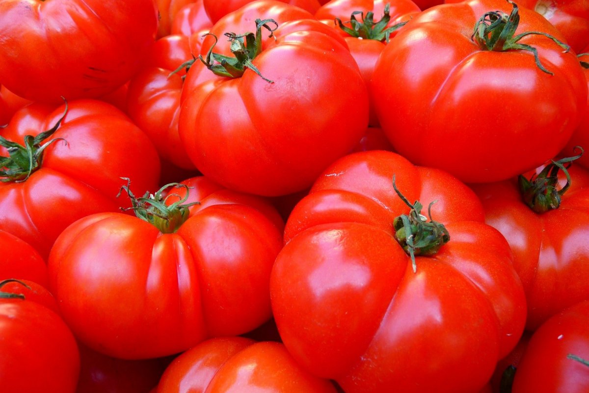 Посмотрите на срез: как определить опасные для здоровья помидоры