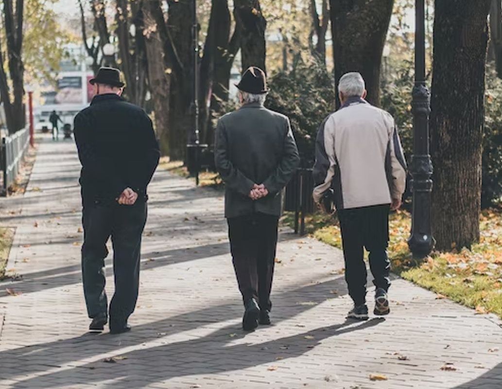 пожилые люди на прогулке