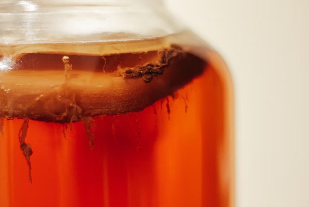 чайный гриб