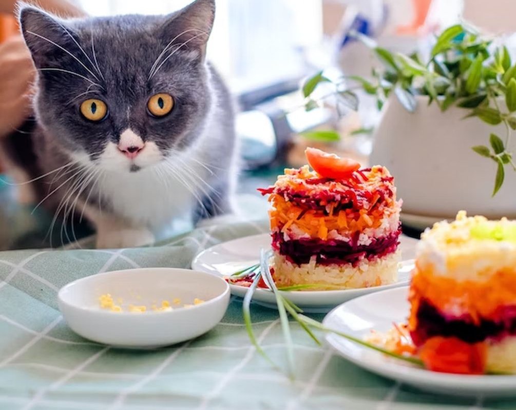 селедка под шубой