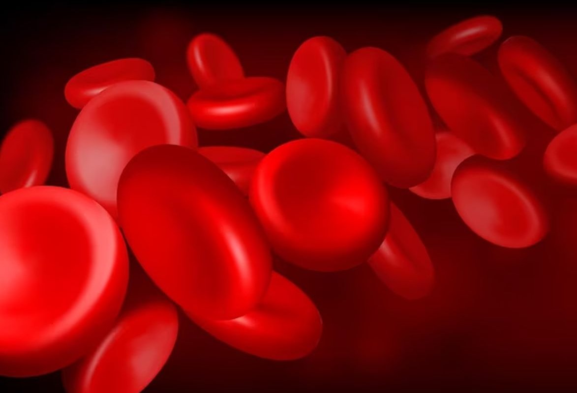 клетки крови