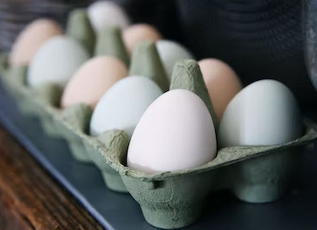 Врач Ломова: правильное употребление яиц позитивно влияет на сердце и мозг