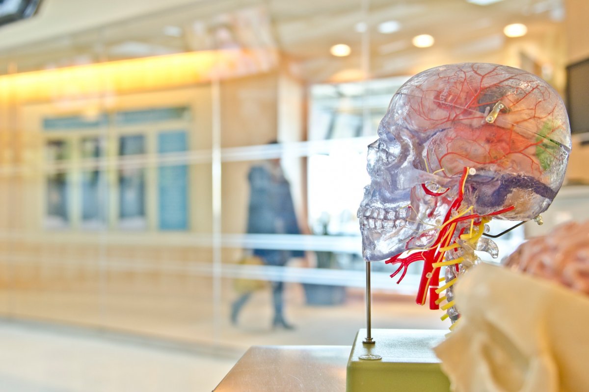 6 советов врача-невролога для оптимального здоровья мозга