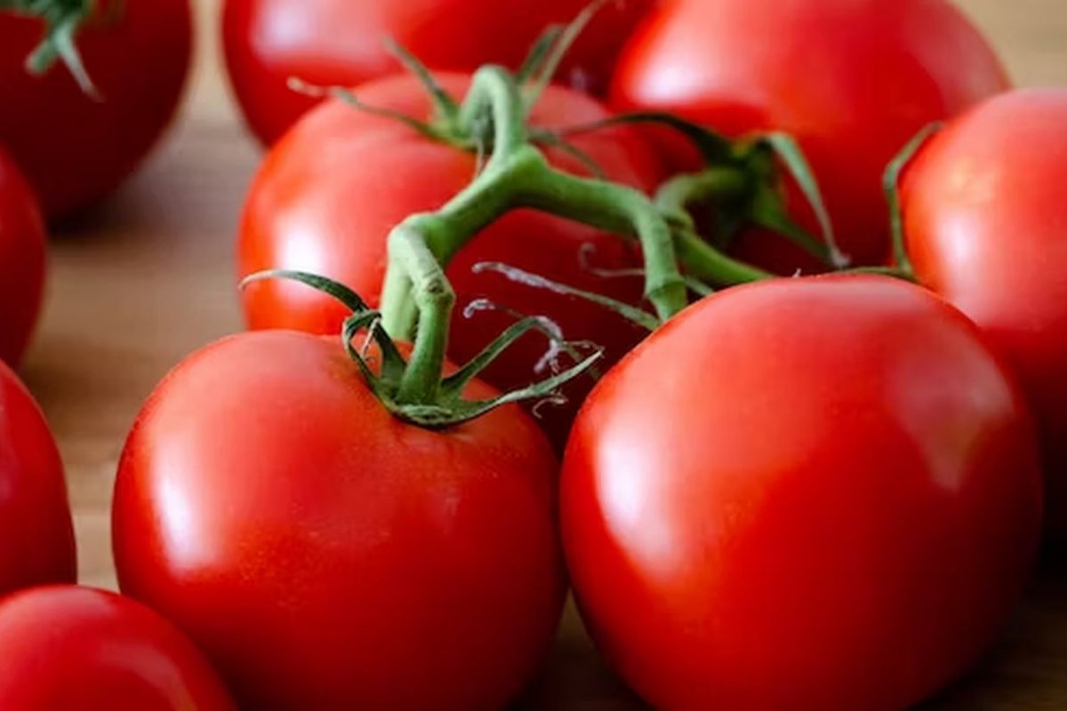 Врач Арзамасцев: ликопин в помидорах способствует защите от рака