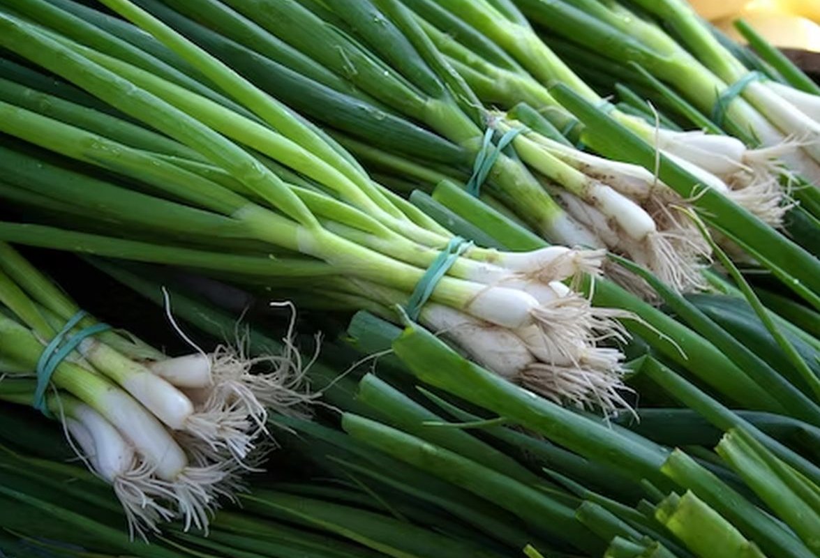 зеленый лук