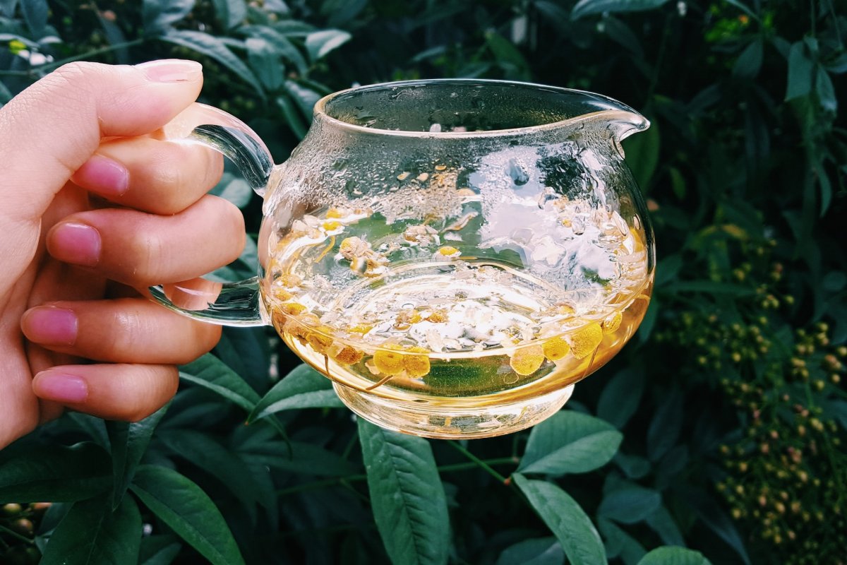 Нутрициолог Строков назвал напитки для снижения стресса и улучшения сна