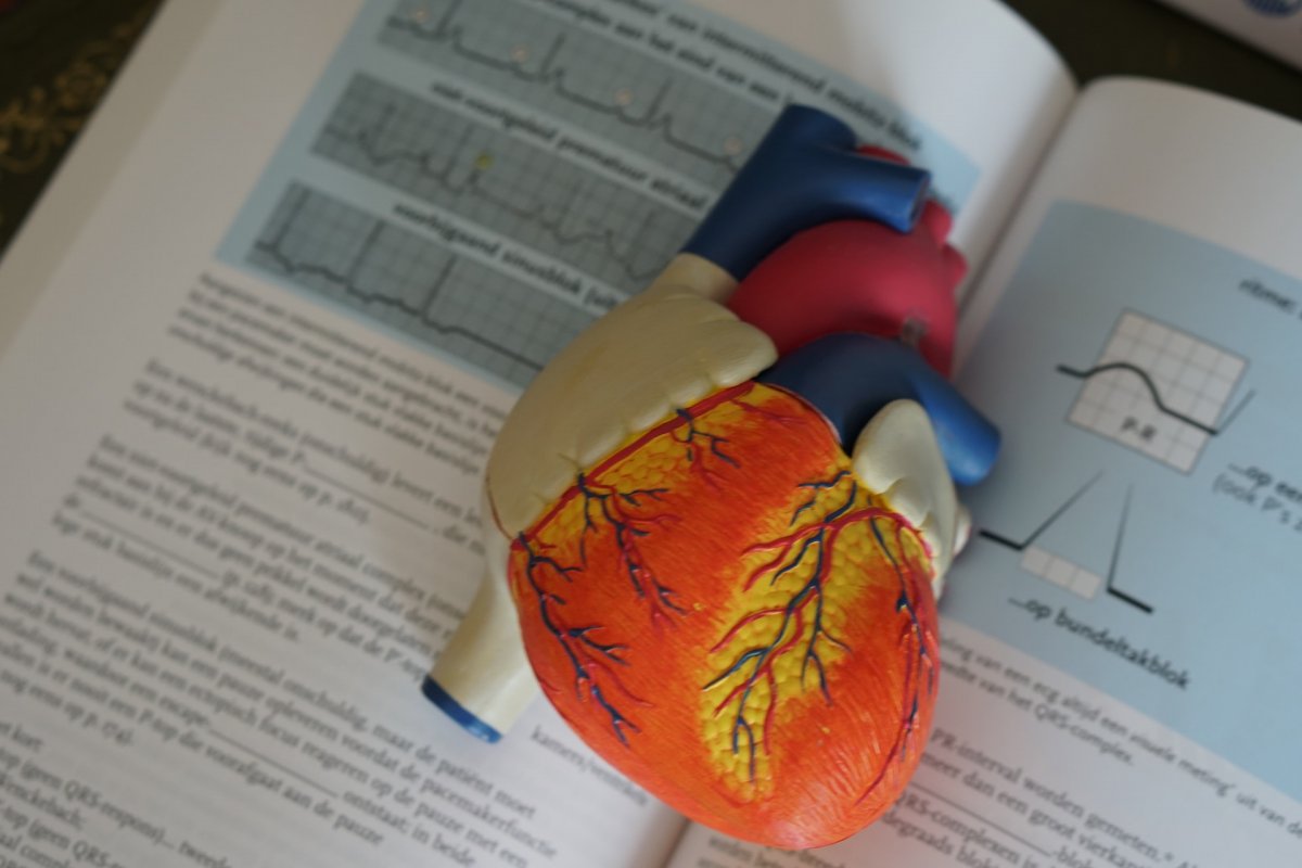 5 привычек, которые сделают ваше сердце больным – советы кардиолога Варфоломеева