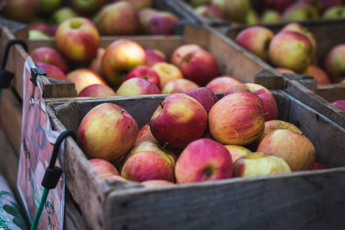 Диетолог Пономарева объяснила, почему яблоки такие полезные - "ешьте с кожурой"
