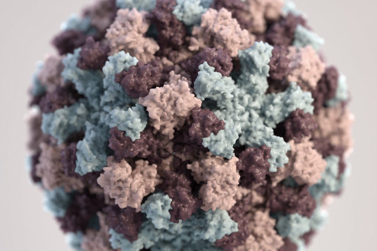 Врач Андреева назвала симптомы ключевые норовируса