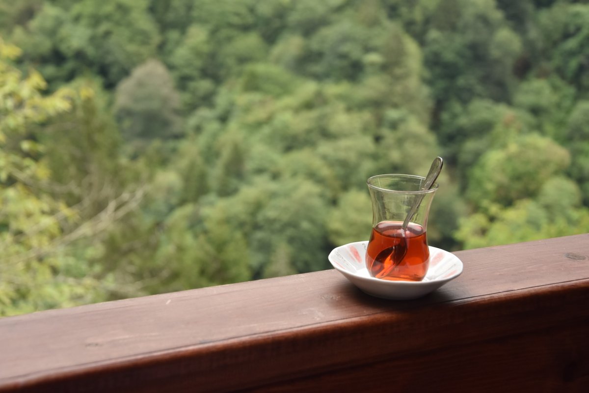 Врач Захарова назвала 6 видов чая, которые снижают артериальное давление