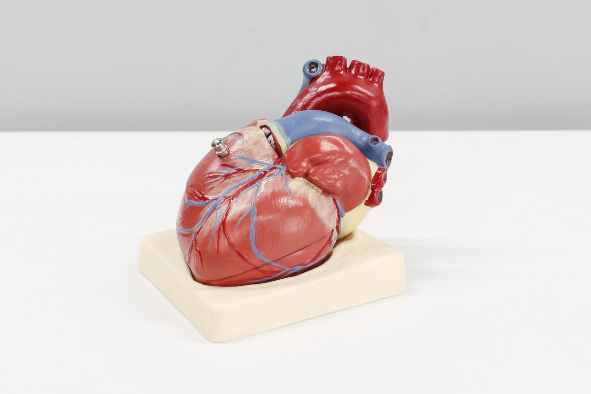 Кардиолог Варфоломеев назвал 6 признаков сердечной недостаточности, о которых вы не знаете