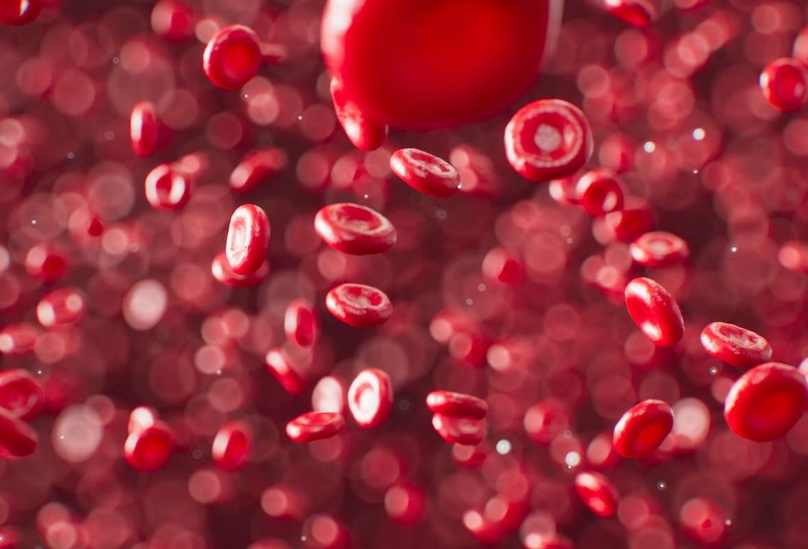 клетки крови