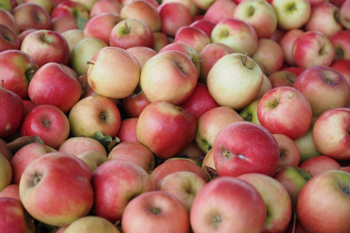 Д-р Мозли смята, че ябълките намаляват риска от настинки, а д-р Алисова предупреждава хората с IBS да не ядат ябълки