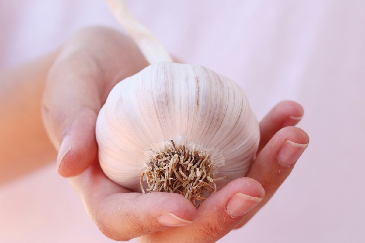 Врач Соловьева назвала 11 лучших продуктов для чистки сосудов, нутрициолог Строков сделал акцент на пользе чеснока и оливкового масла