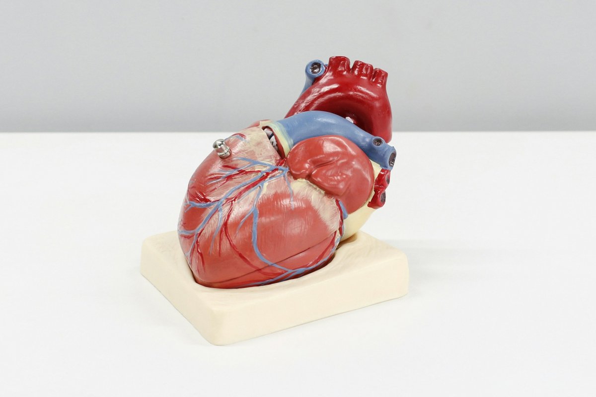 Доктор Мясников: инфаркт часто маскируется под астму и аппендицит, кардиолог Варфоломеев назвал 8 симптомов, когда нужно звонить в скорую