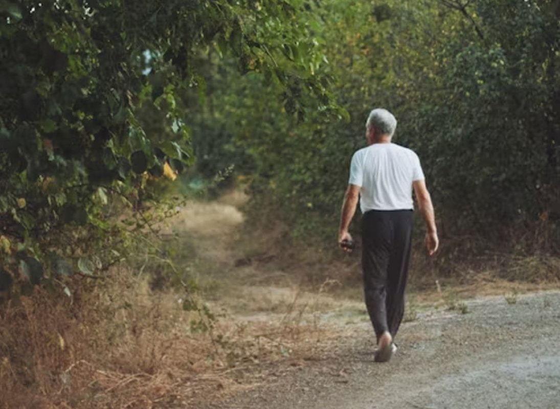 прогулка на природе