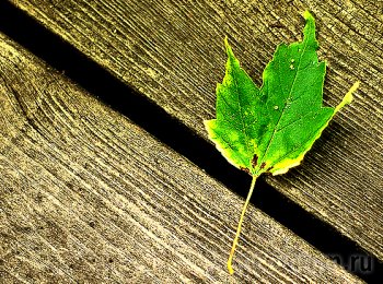 Осенняя депрессия - серьезный диагноз