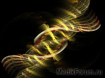 Найти вторую половину поможет тест ДНК