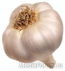 От сердечного приступа убережет чеснок